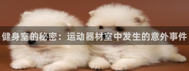 耀世辉煌:健身室的秘密:运动器材室中发生的意外事件