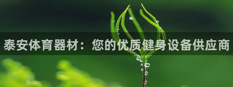 耀世集团王总简介:泰安体育器材:您的优质健身设备供应商