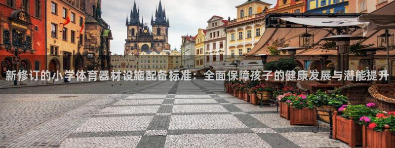 耀世娱乐佳 411O31 耀世:新修订的小学体育器材设施配备