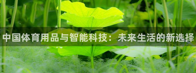 耀世是什么游戏:中国体育用品与智能科技:未来生活的新选择