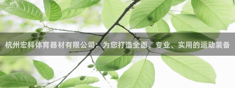 耀世平台哪个彩种是公平彩的:杭州宏科体育器材有限公司:为您打